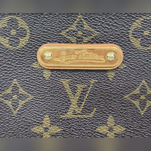 Louis Vuitton Eva Monogram Clutch - Picture 5 of 12